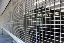 Load image into Gallery viewer, security grilles